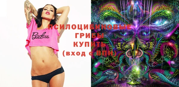 ГАЛЛЮЦИНОГЕННЫЕ ГРИБЫ Волосово