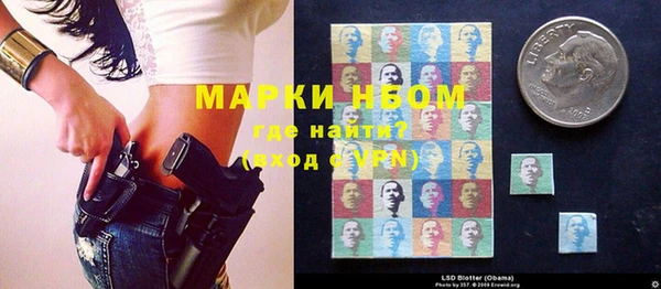 ГАЛЛЮЦИНОГЕННЫЕ ГРИБЫ Волосово