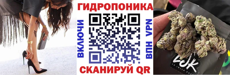 Конопля марихуана  Высоковск 